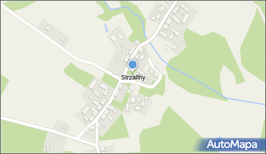 Strzaliny, Strzaliny - Inne