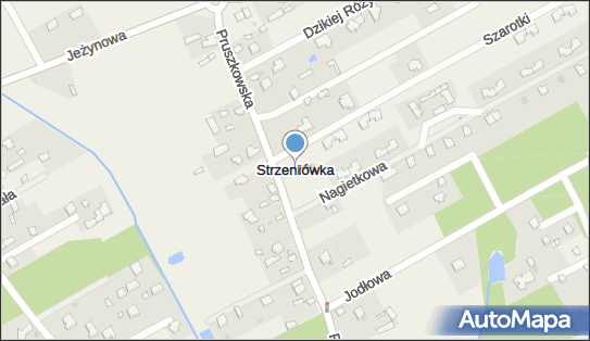 Strzeniówka, Strzeniówka - Inne