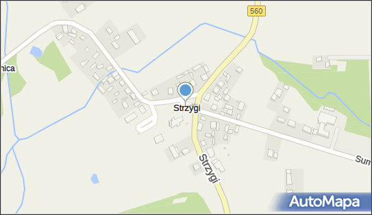 Strzygi (powiat brodnicki), Strzygi - Inne