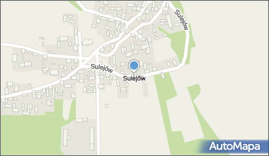 Sulejów (województwo świętokrzyskie), Sulejów - Inne