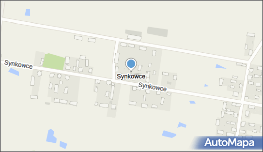 Synkowce, Synkowce - Inne