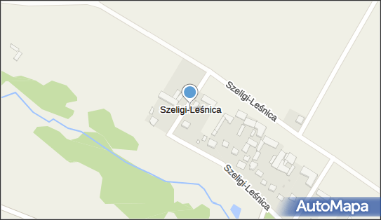 Szeligi-Leśnica, Szeligi-Leśnica - Inne