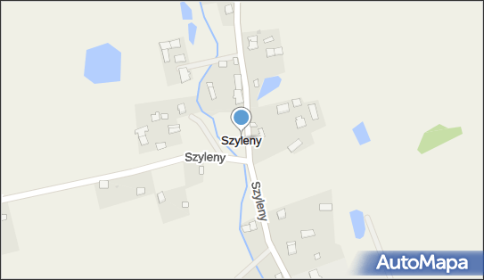 Szyleny, Szyleny - Inne