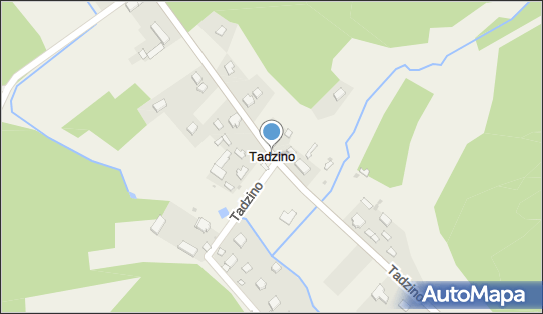 Tadzino, Tadzino - Inne