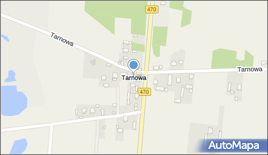 Tarnowa (gmina Brudzew), Tarnowa - Inne