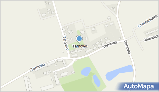 Tarnowo (powiat poznański), Tarnowo - Inne