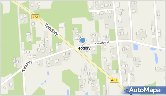 Teodory, Teodory - Inne