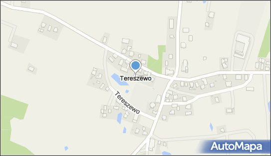 Tereszewo, Tereszewo - Inne