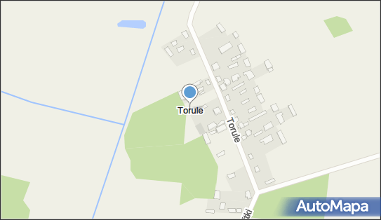 Torule, Torule - Inne