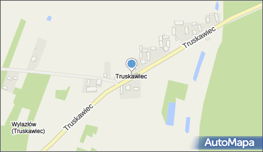 Truskawiec (gmina Wartkowice), Truskawiec - Inne