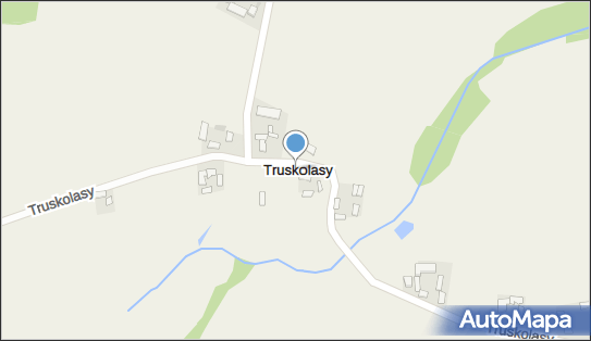 Truskolasy (województwo świętokrzyskie), Truskolasy - Inne