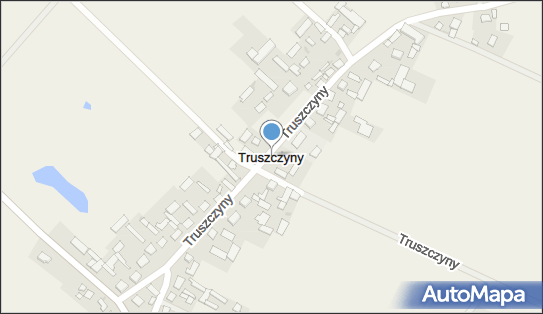 Truszczyny, Truszczyny - Inne