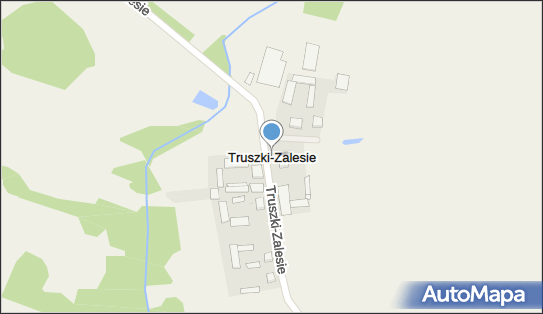 Truszki-Zalesie, Truszki-Zalesie - Inne