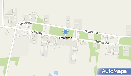 Trzcianna, Trzcianna - Inne