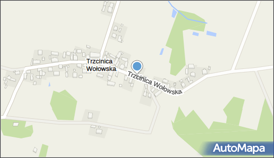 Trzcinica Wołowska, Trzcinica Wołowska, Trzcinica Wołowska 56-160 - Inne