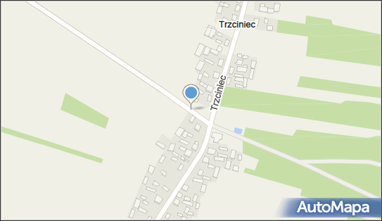 Trzciniec (gmina Łaziska), Trzciniec, Trzciniec 24-313 - Inne