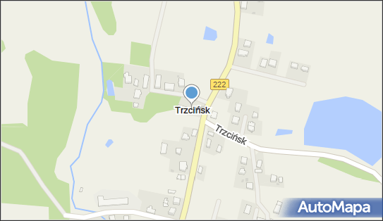 Trzcińsk, Trzcińsk - Inne