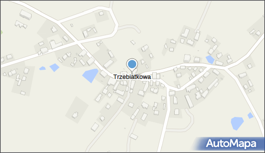 Trzebiatkowa, Trzebiatkowa - Inne