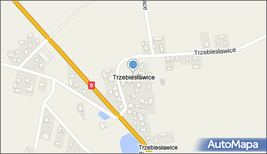 Trzebiesławice (Dąbrowa Górnicza), Trzebiesławice - Inne