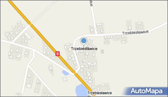 Trzebiesławice (województwo świętokrzyskie), Trzebiesławice - Inne