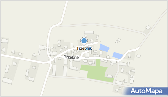 Trzebnik, Trzebnik - Inne