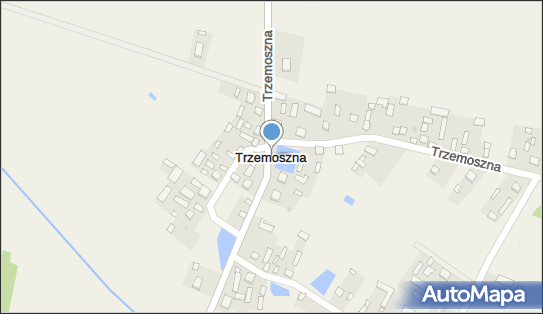 Trzemoszna, Trzemoszna - Inne