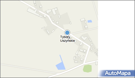 Tybory Uszyńskie, Tybory Uszyńskie - Inne