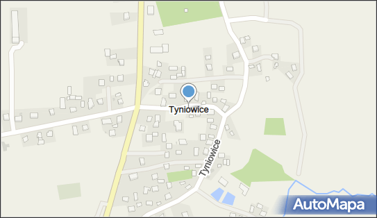 Tyniowice, Tyniowice - Inne