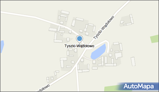 Tyszki-Wądołowo, Tyszki-Wądołowo - Inne