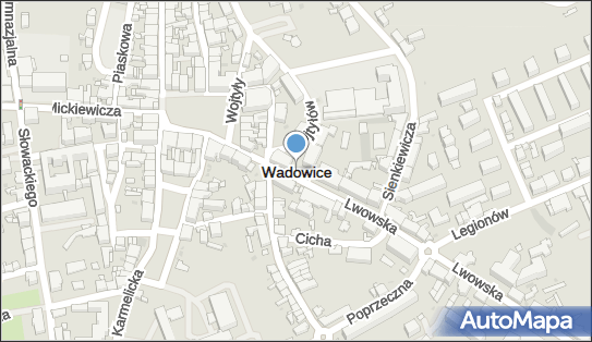 Wadowice, Wadowice - Inne