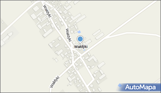 Wałdyki, Wałdyki - Inne