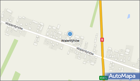 Walentynów (powiat radomski), Walentynów - Inne