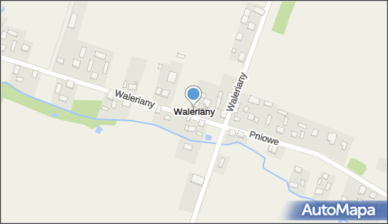 Waleriany, Waleriany - Inne