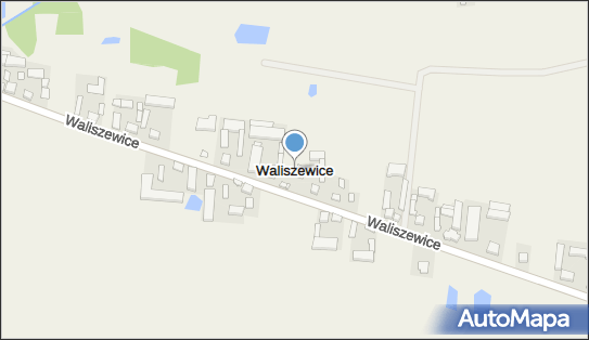 Waliszewice, Waliszewice - Inne