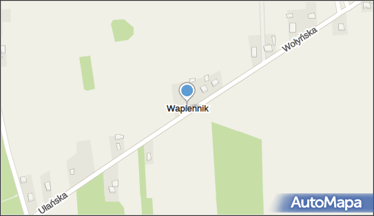 Wapiennik (gmina Miedźno), Wapiennik - Inne