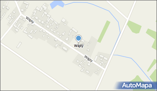 Wąsy (województwo mazowieckie), Wąsy - Inne