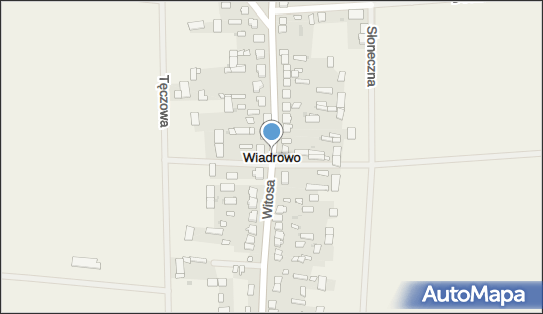 Wiadrowo, Witosa Wincentego, Wiadrowo 09-300 - Inne