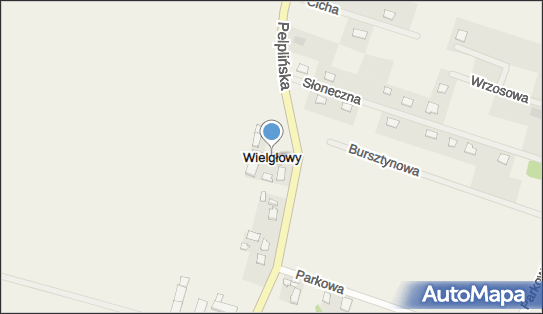 Wielgłowy, Wielgłowy - Inne