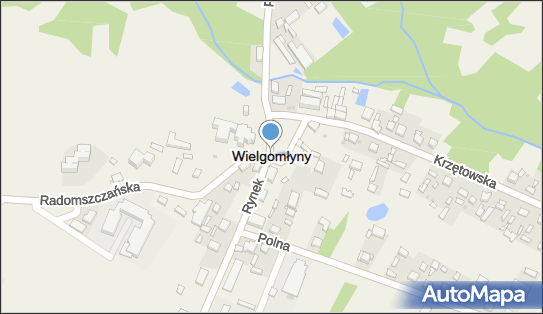 Wielgomłyny, Wielgomłyny - Inne