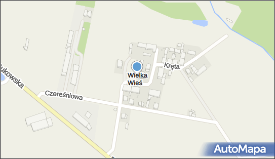 Wielka Wieś (gmina Buk), Wielka Wieś - Inne