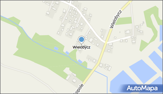 Wielobycz, Wielobycz - Inne