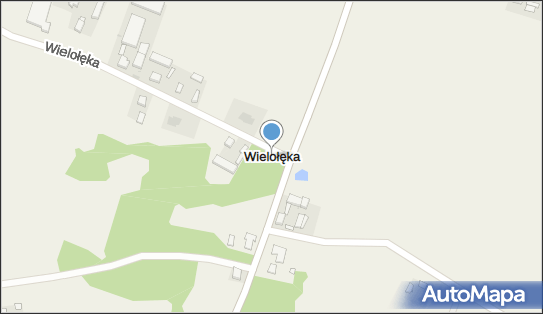 Wielołęka (województwo wielkopolskie), Wielołęka - Inne