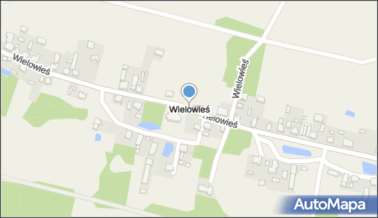 Wielowieś (województwo lubuskie), Wielowieś - Inne