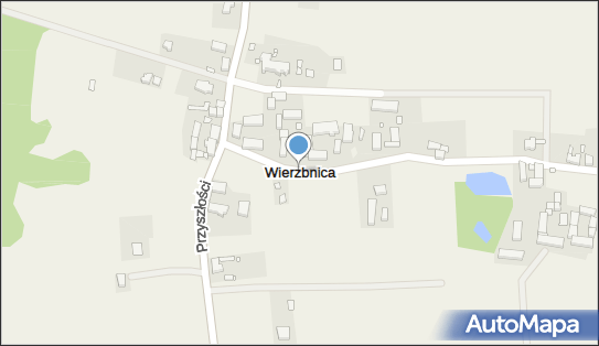 Wierzbnica (województwo lubuskie), Wierzbnica - Inne