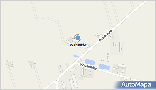 Wiesiołów (województwo wielkopolskie), Wiesiołów - Inne