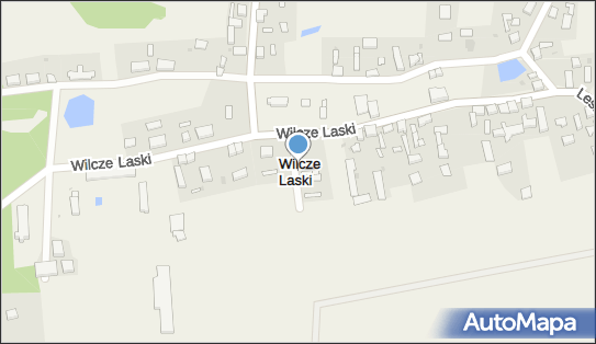 Wilcze Laski, Wilcze Laski - Inne