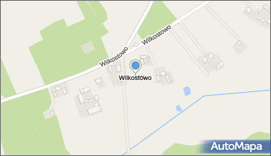 Wilkostowo, Wilkostowo - Inne