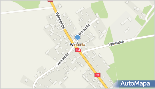Wincenta, Wincenta - Inne