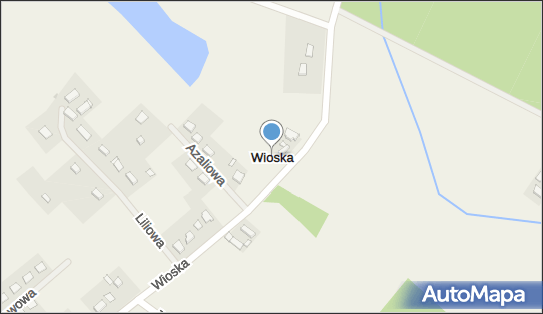 Wioska (powiat oleśnicki), Wioska - Inne