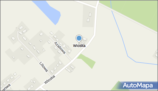 Wioska (powiat oleśnicki), Wioska - Inne